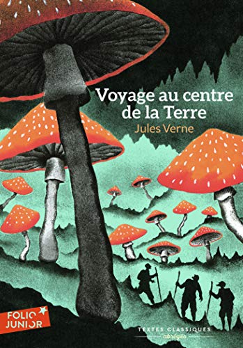 Voyage au centre de la Terre: Texte abrégé