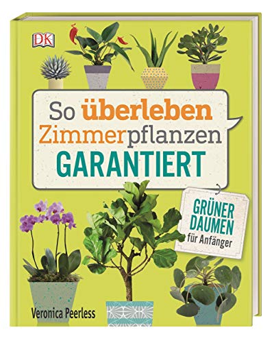 So überleben Zimmerpflanzen garantiert: Grüner Daumen für Anfänger