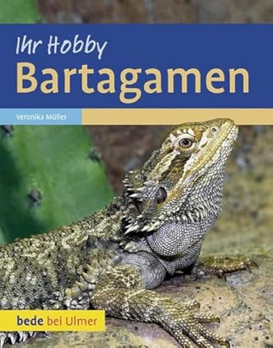 Bartagamen von Ulmer Eugen Verlag