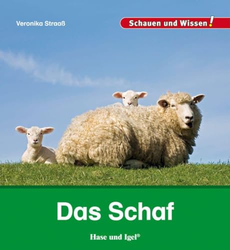 Das Schaf: Schauen und Wissen!