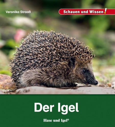 Der Igel: Schauen und Wissen!