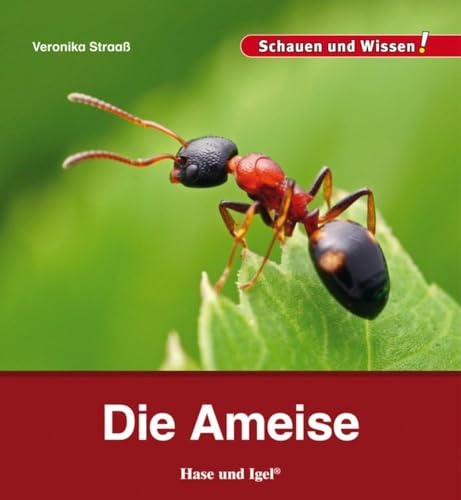 Die Ameise: Schauen und Wissen! von Hase und Igel Verlag GmbH