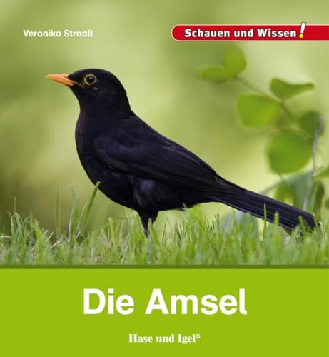Die Amsel: Schauen und Wissen! von Hase und Igel Verlag GmbH