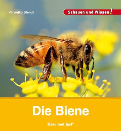 Die Biene: Schauen und Wissen! von Hase und Igel Verlag GmbH