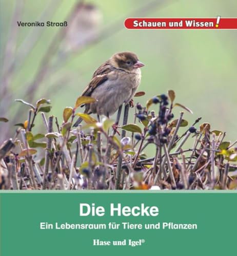 Die Hecke: Schauen und Wissen! von Hase und Igel Verlag GmbH