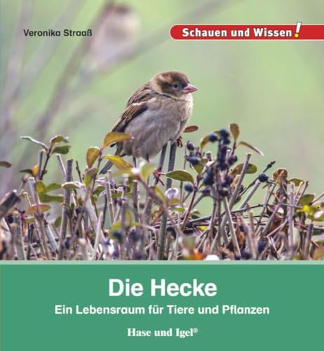 Die Hecke: Schauen und Wissen!