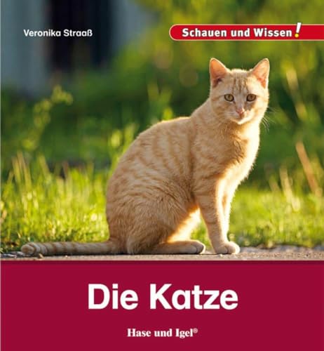 Die Katze: Schauen und Wissen!