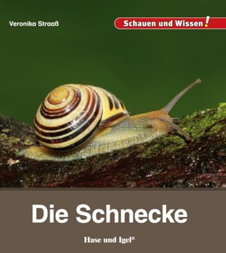 Die Schnecke: Schauen und Wissen! von Hase und Igel Verlag GmbH