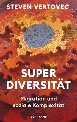 Superdiversität: Migration und soziale Komplexität | Das Grundlagenwerk eines weltweit führenden Migrations- und Diversitätsforschers