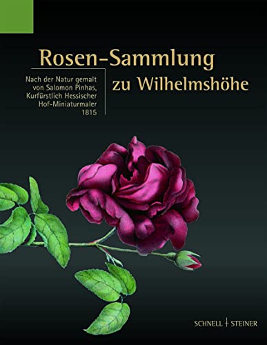 Rosen-Sammlung zu Wilhelmshöhe: Nach der Natur gemalt von Salomon Pinhas, Kurfürstlich Hessischer Hof-Miniaturmaler 1815 (Studien zum Kulturerbe in Hessen) von Schnell & Steiner