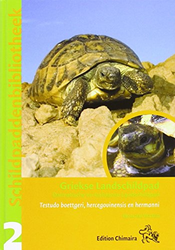 Griekse Landschildpad: Testudo boettgeri, hercegovinensis en hermanni. Mit e. Vorw. v. Andreas Nöllert von Chimaira