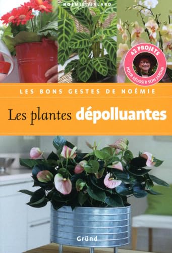 Les plantes dépolluantes von GRUND
