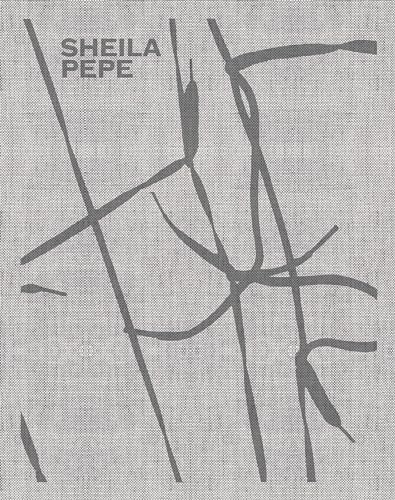 Sheila Pepe: Hot Mess Formalism von Prestel