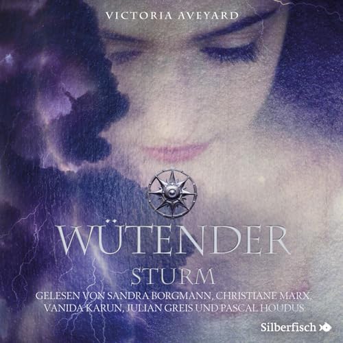 Wütender Sturm (Die Farben des Blutes 4): 3 CDs von Silberfisch