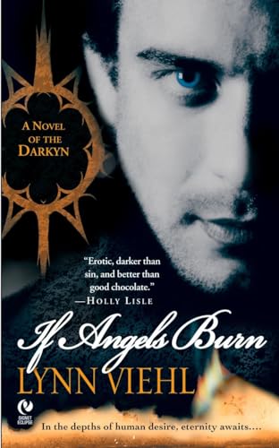 If Angels Burn: A Novel of the Darkyn von Berkley