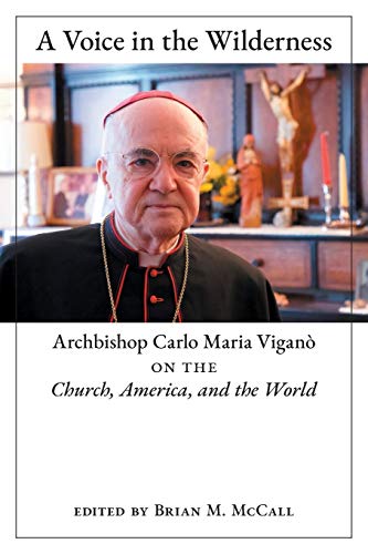 A Voice in the Wilderness: Archbishop Carlo Maria Viganò on the Church, America, and the World von Angelico Press