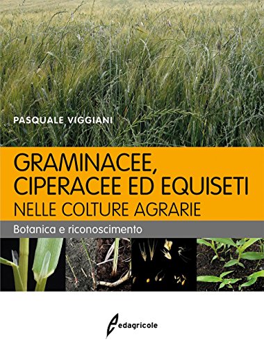 Graminacee, ciperacee ed equiseti nelle colture agrarie. Botanica e riconoscimento Graminacee, ciperacee ed equiseti nelle colture agrarie. Botanica e riconoscimento von Edagricole