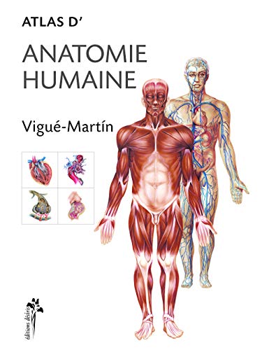 Atlas d'anatomie humaine von DESIRIS