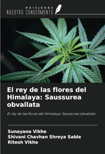 El rey de las flores del Himalaya: Saussurea obvallata: El rey de las flores del Himalaya: Saussurea obvallata