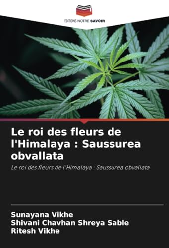 Le roi des fleurs de l'Himalaya : Saussurea obvallata: Le roi des fleurs de l'Himalaya : Saussurea obvallata