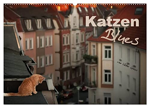 Katzen Blues (Wandkalender 2024 DIN A2 quer), CALVENDO Monatskalender
