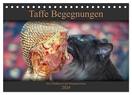 Taffe Begegnungen-Drei Waldkatzen auf Abenteuerreisen (Tischkalender 2024 DIN A5 quer), CALVENDO Monatskalender von CALVENDO