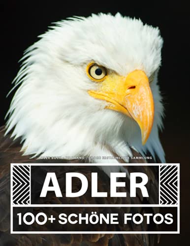 Adler Buch - Bildband - Große Erstaunliche Sammlung: 100 Wunderschöne Bildern - Für Kinder und Erwachsene Adler Buch - Bildband - Große Erstaunliche Sammlung: 100 Wunderschöne Bildern - Für Kinder und Erwachsene von Independently published
