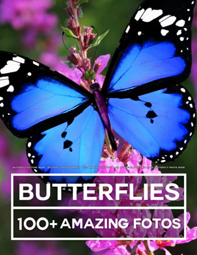 Butterfly Picture Book - Butterfly Photography: 100+ Amazing Pictures and Photos in this fantastic Butterfly Photo Book Butterfly Picture Book - Butterfly Photography: 100+ Amazing Pictures and Photos in this fantastic Butterfly Photo Book von Independently published