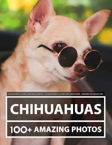 Chihuahua Pictures and Photography - A Chihuahuas Picture and Photo Book - Amazing Big Collection: 100+ Amazing Pictures of Chihuahuas in this Beautiful Chihuahua photo book Chihuahua Pictures and Photography - A Chihuahuas Picture and Photo Book - Amazing Big Collection: 100+ Amazing Pictures of Chihuahuas in this Beautiful Chihuahua photo book von Independently published