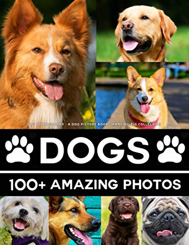 Dog Photography - A Dogs Picture Book - Amazing Big Collection: 100+ Amazing Pictures of Dogs in this Beautiful Photo Book Dog Photography - A Dogs Picture Book - Amazing Big Collection: 100+ Amazing Pictures of Dogs in this Beautiful Photo Book von Independently published