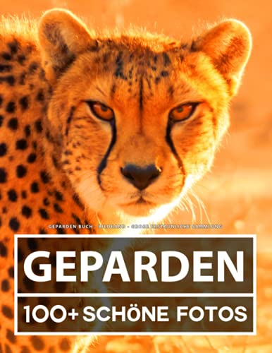 Geparden Buch - Bildband - Große Erstaunliche Sammlung: 100 Wunderschöne Bildern - Für Kinder und Erwachsene Geparden Buch - Bildband - Große Erstaunliche Sammlung: 100 Wunderschöne Bildern - Für Kinder und Erwachsene von Independently published