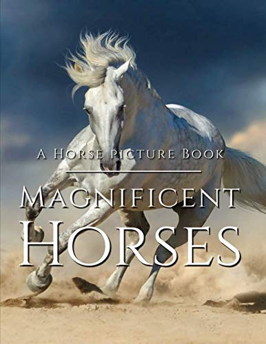Horse Picture Book - Magnificent Horses: Amazing Horse Photo Book - Full of Breath-Taking Photography Of These Beautiful Creatures Horse Picture Book - Magnificent Horses: Amazing Horse Photo Book - Full of Breath-Taking Photography Of These Beautiful Creatures