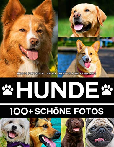 Hunde Fotobuch - Große Erstaunliche Sammlung: 100 Wunderschöne Fotos In Diesem Fantastischen Hund Buch - Tier Fotobuch Für Kinder und Erwachsene Hunde Fotobuch - Große Erstaunliche Sammlung: 100 Wunderschöne Fotos In Diesem Fantastischen Hund Buch - Tier Fotobuch Für Kinder und Erwachsene von Independently published
