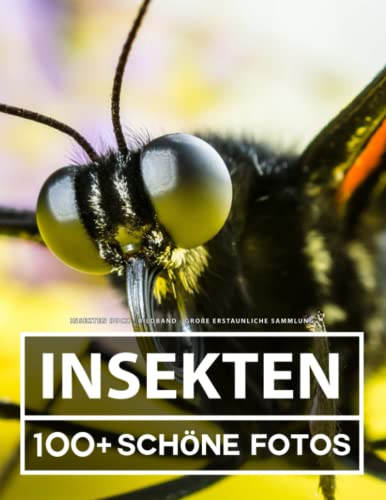 Insekten Buch - Bildband - Große Erstaunliche Sammlung: 100 Wunderschöne Bildern - Für Kinder und Erwachsene Insekten Buch - Bildband - Große Erstaunliche Sammlung: 100 Wunderschöne Bildern - Für Kinder und Erwachsene