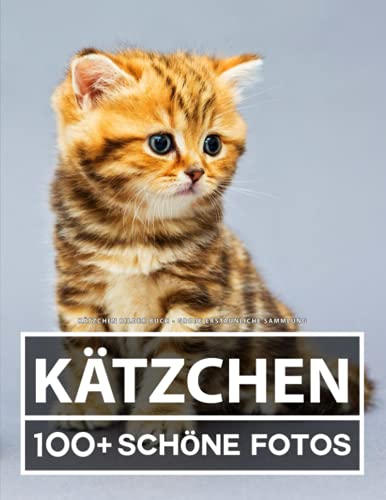 Kätzchen Bilder Buch - Große Erstaunliche Sammlung: 100 Wunderschöne Bildern - Für Kinder und Erwachsene Kätzchen Bilder Buch - Große Erstaunliche Sammlung: 100 Wunderschöne Bildern - Für Kinder und Erwachsene