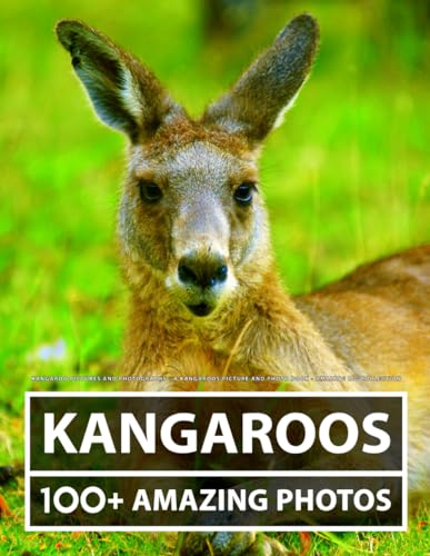 Kangaroo Pictures and Photography - A Kangaroos Picture and Photo Book - Amazing Big Collection: 100+ Amazing Pictures of Kangaroos in this Beautiful Kangaroo photo book Kangaroo Pictures and Photography - A Kangaroos Picture and Photo Book - Amazing Big Collection: 100+ Amazing Pictures of Kangaroos in this Beautiful Kangaroo photo book von Independently published