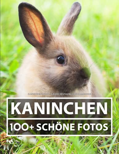 Kaninchen Buch - Große Erstaunliche Sammlung: 100 Wunderschöne Bildern - Für Kinder und Erwachsene Kaninchen Buch - Große Erstaunliche Sammlung: 100 Wunderschöne Bildern - Für Kinder und Erwachsene
