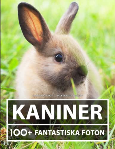 Kaniner Fotobok - Vacker Stor Samling: 100+ Fantastiska bilder - För Barn Och Vuxna Kaniner Fotobok - Vacker Stor Samling: 100+ Fantastiska bilder - För Barn Och Vuxna