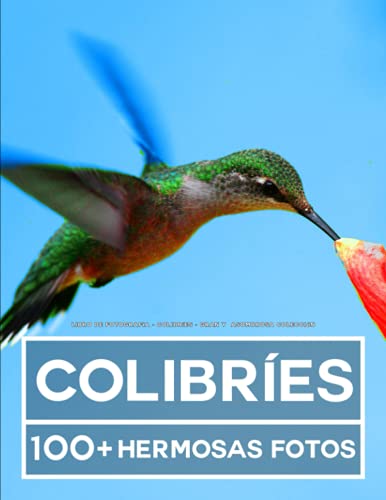Libro De Fotografía - Colibríes - Gran y Asombrosa Colección: 100 Hermosas Fotos En Este Fantástico Libro De Fotos De Colibríes - Para Niños y Adultos Libro De Fotografía - Colibríes - Gran y Asombrosa Colección: 100 Hermosas Fotos En Este Fantástico Libro De Fotos De Colibríes - Para Niños y Adultos von Independently published