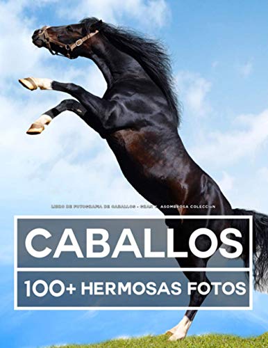 Libro De Fotografía De Caballos – Gran y Asombrosa Colección: 100 Hermosas Fotos En Este Fantástico Libro De Caballos - Libro De Fotos De Animales Para Niños y Adultos Libro De Fotografía De Caballos – Gran y Asombrosa Colección: 100 Hermosas Fotos En Este Fantástico Libro De Caballos - Libro De Fotos De Animales Para Niños y Adultos