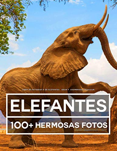 Libro De Fotografía De Elefantes – Gran Y Asombrosa Colección: 100 Hermosas Fotos En Este Fantástico Libro De Elefantes - Libro De Fotos De Animales Para Niños y Adultos Libro De Fotografía De Elefantes – Gran Y Asombrosa Colección: 100 Hermosas Fotos En Este Fantástico Libro De Elefantes - Libro De Fotos De Animales Para Niños y Adultos von Independently published