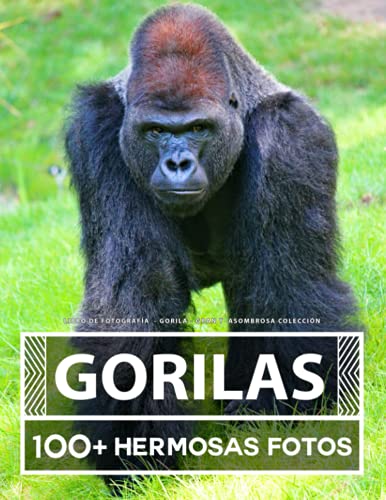 Libro De Fotografía - Gorila - Gran y Asombrosa Colección: 100 Hermosas Fotos En Este Fantástico Libro De Fotos De Gorila - Para Niños y Adultos Libro De Fotografía - Gorila - Gran y Asombrosa Colección: 100 Hermosas Fotos En Este Fantástico Libro De Fotos De Gorila - Para Niños y Adultos von Independently published