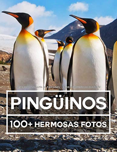 Libro De Fotografía - Pingüinos - Gran y Asombrosa Colección: 100 Hermosas Fotos En Este Fantástico Libro De Fotos De Pingüinos - Para Niños y Adultos Libro De Fotografía - Pingüinos - Gran y Asombrosa Colección: 100 Hermosas Fotos En Este Fantástico Libro De Fotos De Pingüinos - Para Niños y Adultos von Independently published