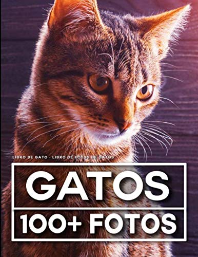 Libro De Gato - Libro De Fotos De Gatos: 100 Hermosas Fotos En Este Fantástico Álbum De Fotos (Gato Libro - Libro De Photos De Gatos, Band 1) von Independently published