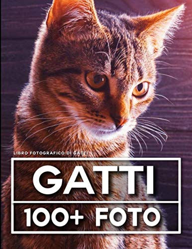 Libro Fotografico Di Gatti: 100 Bellissime Foto In Questo Fantastico Fotolibro (Libro Fotografico Gatti - Libro Fotografico Animali, Band 1)