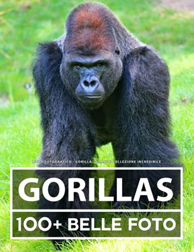Libro Fotografico - Gorilla - Grande Collezione Incredibile: 100 Bellissime Foto Di Gorilla In Una Fantastica Collezione - Per Bambini E Adulti Libro Fotografico - Gorilla - Grande Collezione Incredibile: 100 Bellissime Foto Di Gorilla In Una Fantastica Collezione - Per Bambini E Adulti von Independently published