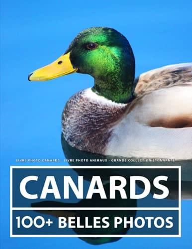 Livre Photo Canard - Livre Photo Animaux - Grande Collection Étonnante: 100 Belles Photos Dans Ce Livre Fantastique - Pour Enfants Et Adultes Livre Photo Canard - Livre Photo Animaux - Grande Collection Étonnante: 100 Belles Photos Dans Ce Livre Fantastique - Pour Enfants Et Adultes