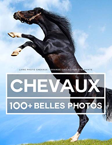 Livre Photo Chevaux - Grande Collection Étonnante: 100 Belles Photos Dans Ce Fantastique Livre Sur Les Chevaux - Livre De Photos Des Animaux Pour Enfants Et Adultes Livre Photo Chevaux - Grande Collection Étonnante: 100 Belles Photos Dans Ce Fantastique Livre Sur Les Chevaux - Livre De Photos Des Animaux Pour Enfants Et Adultes