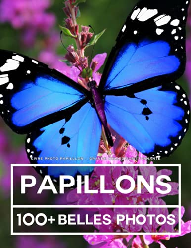 Livre Photo Papillon - Grande Collection Étonnante: 100 Belles Photos Dans Ce Fantastique Livre De Papillons - Pour Enfants Et Adultes Livre Photo Papillon - Grande Collection Étonnante: 100 Belles Photos Dans Ce Fantastique Livre De Papillons - Pour Enfants Et Adultes