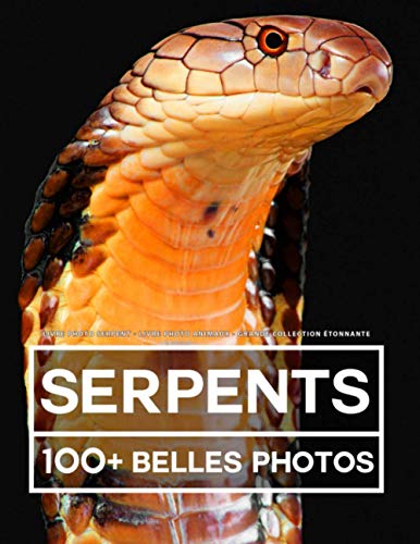 Livre Photo Serpent - Grande Collection Étonnante: 100 Belles Photos Dans Ce Fantastique Livre De Serpents - Pour Enfants Et Adultes Livre Photo Serpent - Grande Collection Étonnante: 100 Belles Photos Dans Ce Fantastique Livre De Serpents - Pour Enfants Et Adultes von Independently published